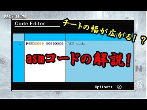 【3DS】asmチートコードの解説(ifD9編)
