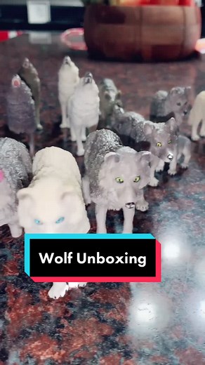 Unboxing my Wolf Figures! My packs finally done! #wolves#wolf#animals#animalfigure#toys#fyp#collectables