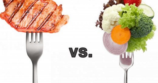 Plant Protein vs Animal Protein: The Nutrient Showdown
