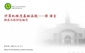 R语言基础3A-函数与软件包编写P1