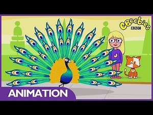 CBeebies: Melody - Clever Birds