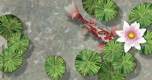 Animation 4K loop video of koi fish swimming in lotus pond, screen saver, After Effects
