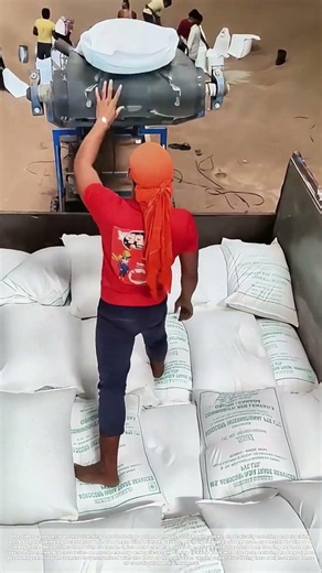 Loading with Rhythm: How Manual Labor Meets Industrial Flow at the Warehouse