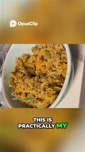 Homemade Dog Food Viral Recipe You NEED To Try!