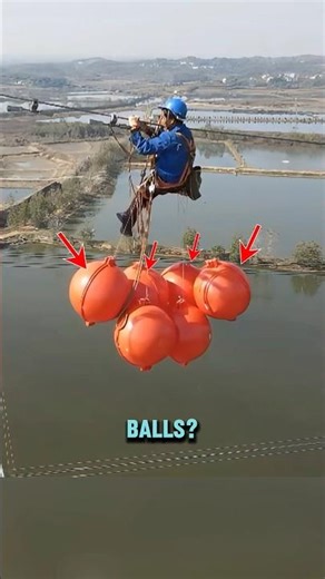 Why Are There Colorful Balls on Powerlines?