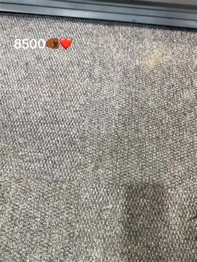 Samsung Double Door Fridge Overview and Features