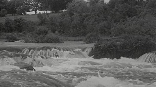 Killaloe On The Shannon