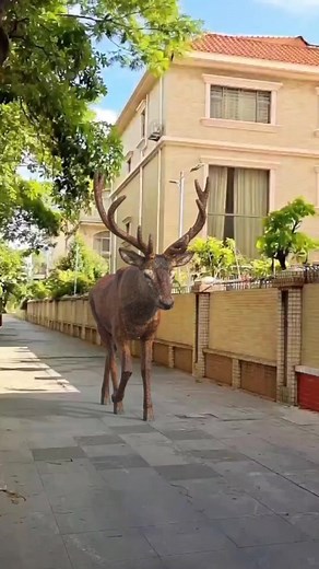 14K views · 118 reactions | Cinema Malayalam Kerala on Reels | Facebook