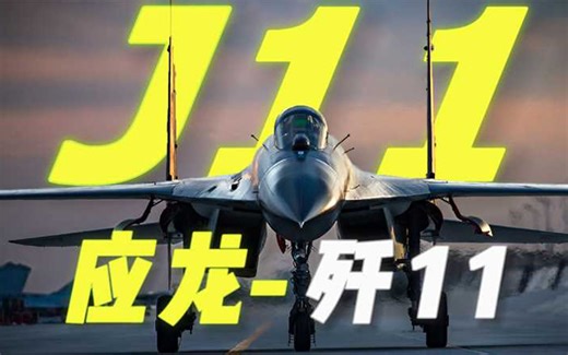 歼11多用途空优战斗机：自主研发的空中利器，中国空军的中流砥柱