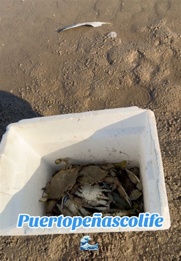 Miren cuantos congresos encontramos en la ostionera 😍🌊🙏🏼 | Puerto Peñasco