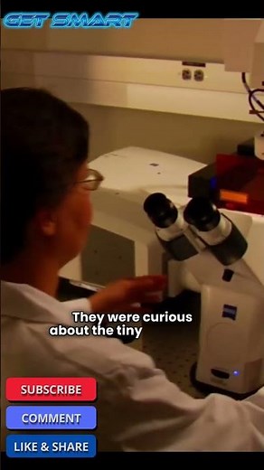 🕵️‍♂️The History of Microscope in 30 Seconds: See What Changed Science Forever! #facts #science