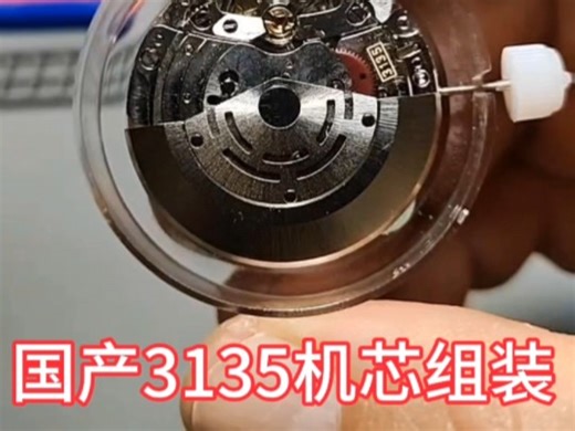 自学修表之1️⃣3️⃣ 国产3135机芯组装