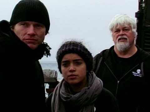 Whale Wars - Drohender Zusammenstoß