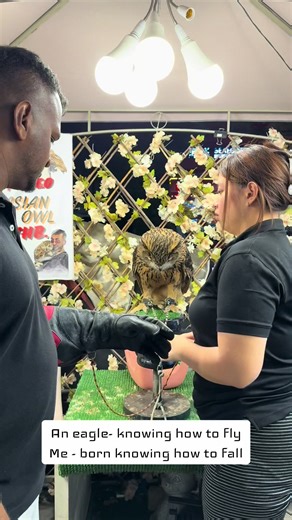 The Journey of a Property Agent: Learning to Rise