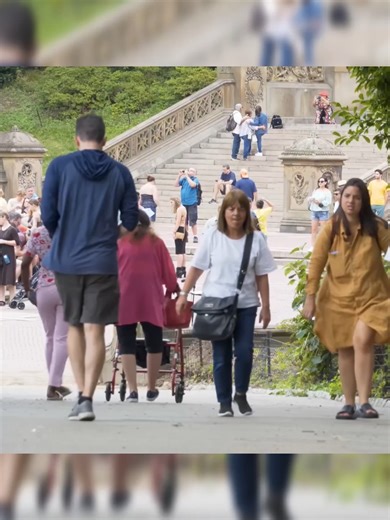 Hilarious Fart Pranks with Deer