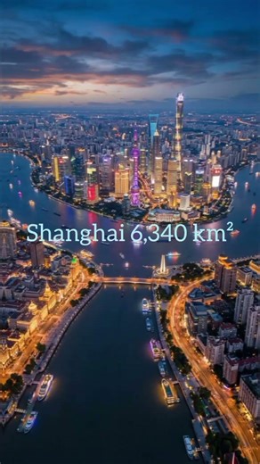 which is world largest city?