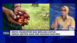 Video: Genjot Produksi B40 hingga 15 Juta Kilo Liter, Insentif Ditebar