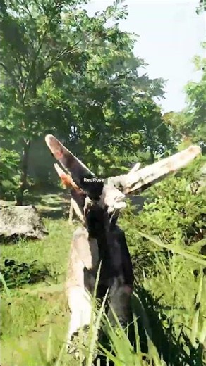 NEW UPDATE AND NEW DINOSAUR IN THE ISLE..!!!😍