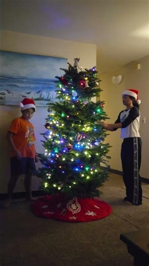 Decorating our Christmas fresh Tree #christmastree #up #ornaments #fun #happy #decorating