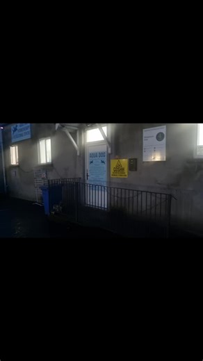 3.5K views · 52 reactions | For all those who asked, this is our first (not official) Xmas lights switch on 藍 It only took Luke an hour this morning to get them up so be nice  | Aqua Dog Hydrotherapy Rehabilitation and Recreational Centre | Facebook