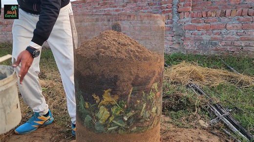 I Tried a 6-Layer Raised Bed Using Kitchen Waste. The 6-Layer Garden Bed Changed How I Grow Food. In this video, I turn leftover wire mesh into a unique and highly effective raised bed garden using a simple 6-layer system. Instead of throwing away scrap materials, I show how you can reuse wire mesh with small holes to create a strong circular raised bed that improves soil health and plant growth over time. This DIY raised bed garden is perfect for anyone interested in sustainable gardening, back