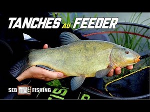 Tench fishing with a feeder