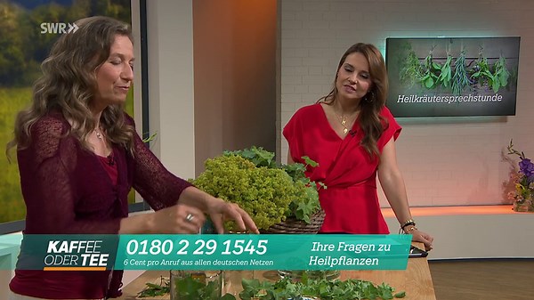 Heilkräuter für die Schönheit