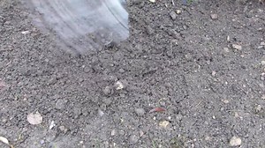 18K views · 89 reactions | The approach of spring sees many of us starting or expanding a vegetable garden, but take care - where you locate your vegetable beds can make the difference between a bumper harvest or a disappointing loss. | GrowVeg | Facebook