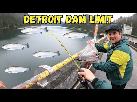 Trout Fishing Detroit Lake Dam for Limit of Big Trophy Trout (Used A Crab Ring) | Oregon Fishing