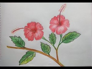 Haw to draw hibiscus flower for beginners ( very easy)