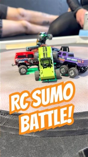 CROWN THE KING 💥 RC SUMO GOES ALL IN!