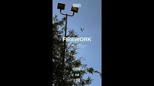 Bobby - Firework