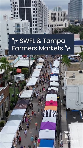 1.7K views |  Fresh finds, local vibes!  From Naples to Tampa,...