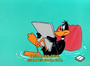 For once, Daffy is self-aware. | Boomerang