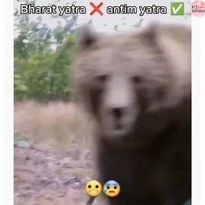 Surprise 🫢 | I love Memes