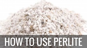 4.2K views · 77 reactions | When you open up a bag of commercial potting mix, you expect to see little white specks in it without really questioning why they’re there. But what is perlite, really? What is perlite made of? What does it do for the soil, and is there a reason to add more? | Epic Gardening | Facebook