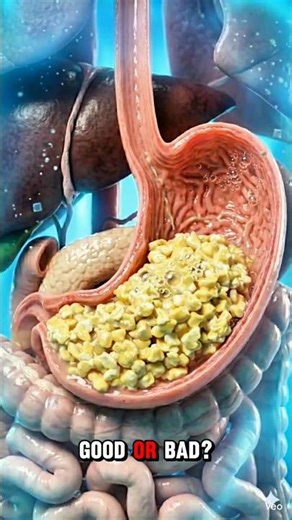 What Happens to Egg Protein in 60 Seconds?​#medical #healthfacts #stomachhealth #scienceexplained