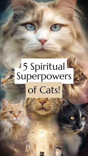 Mariya │ Spiritual Guide, Channel & Author on Instagram: "Calling all cat lovers!! 🐈✨ Watch the full episode on my YouTube or Spotify channel to find out the full range of their powers 🙏🏼"
