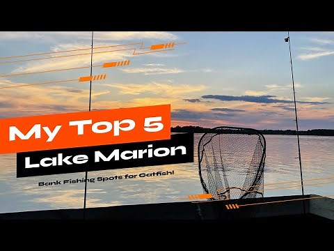 Bank Fishing For Catfish, Spots Everyone Can Access on Lake Marion in South Carolina!
