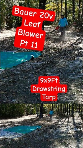 Testing The 20v Bauer Leaf Blower, Tire Inflator: Viking Battery Charger #leafblower,#lawncare Pt 11