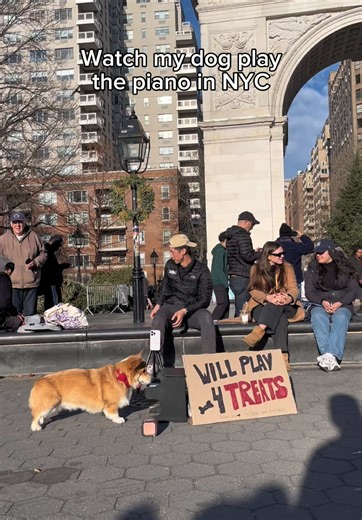 Sir Dashington's Piano Recital in NYC