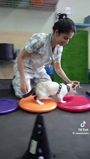 3.1M views · 214K reactions | Amor por la Rehabilitación  Créditos: A quién corresponda | Terapia Física Aqp | Facebook