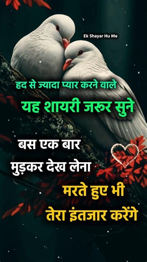 Just look back at me once 🥰 True love shayari || Love-filled shayari #shayari #Love #Shayari2026