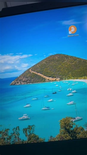 I found my old Bitcoin wallet)