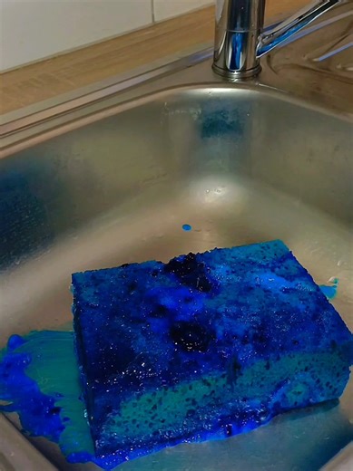 Soaked Sponge ASMR Experience