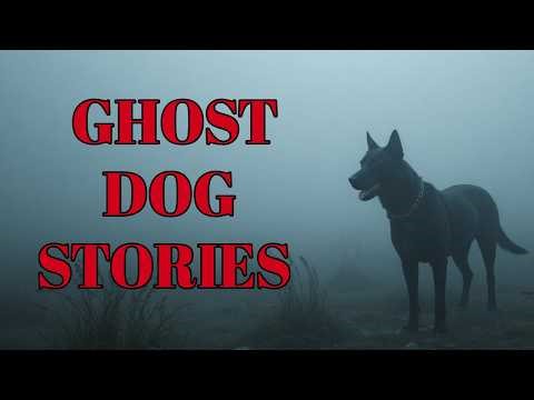 Ghost Dog Stories | Paranormal Pet Encounters That Will Give You Chills
