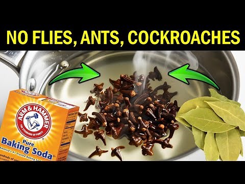 Spray THIS at Home, and Watch Insects Disappear! DIY Clove & Baking Soda Pest Control Spray