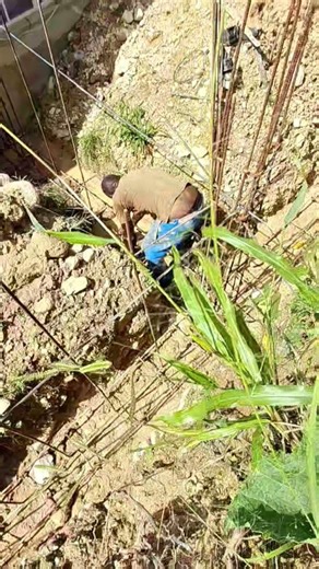 star light bright sky