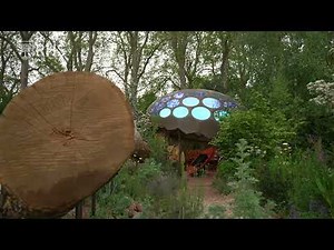 How to make your garden pollinator friendly | Take Home Chelsea | The RHS