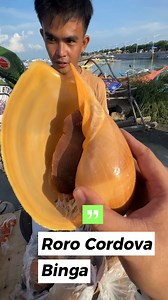 1.9M views · 10K reactions | Giant Shell (Binga) Makalagsik? | Haydol Food Trip | Facebook